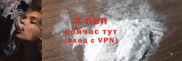 индика Покровск