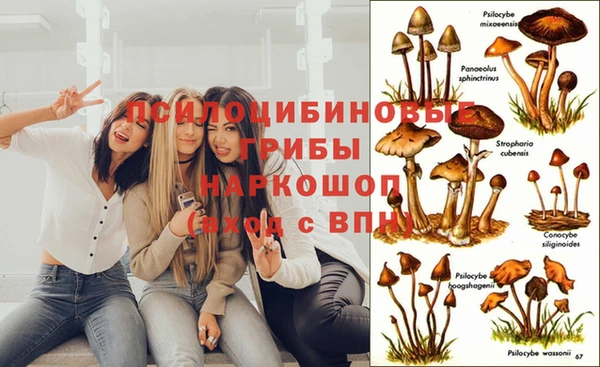 индика Покровск