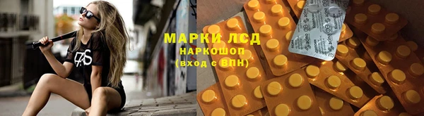 индика Покровск