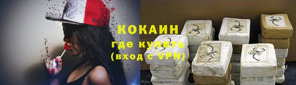 бошки Щигры