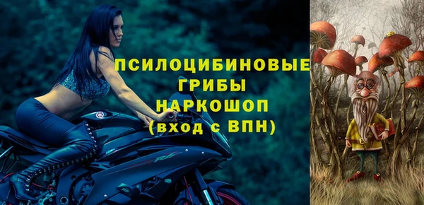 индика Покровск