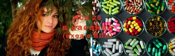 бошки Щигры