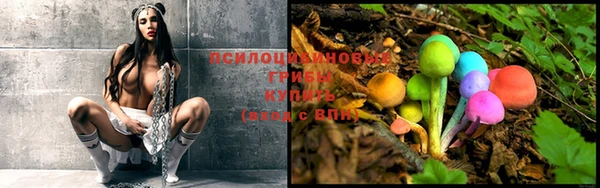 индика Покровск