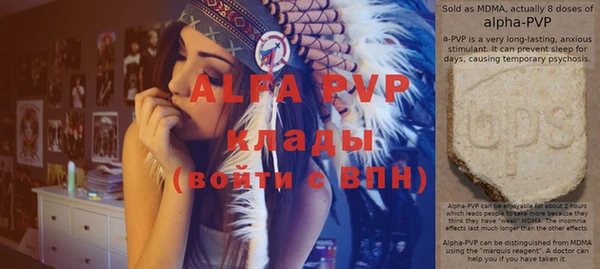 бошки Щигры