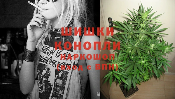 индика Покровск