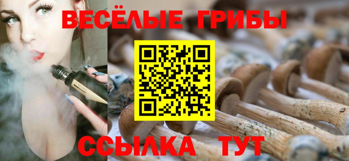 Псилоцибиновые грибы прущие грибы  Вход с VPN  Юрга 