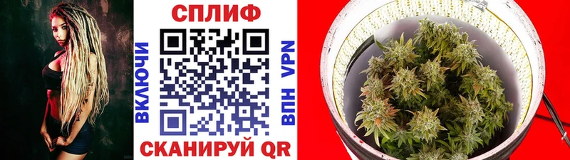 купить   Юрга  Каннабис конопля 